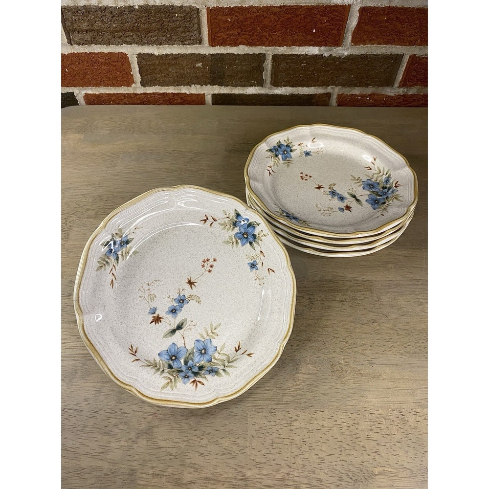 Mikasa Garden Club Day Dreams EC461 Set of 5 Salad Plates 8" Blue Floral